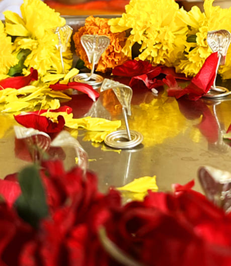 Kalsarp Dosh Nivaran Puja